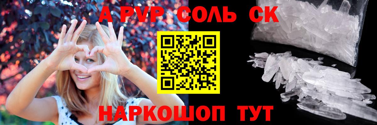 Альфа ПВП СК КРИС Великий Новгород
