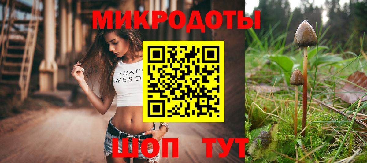 Великий Новгород  Псилоцибиновые грибы ЛСД  Псилоцибиновые грибы Psilocybe  Вход с VPN 